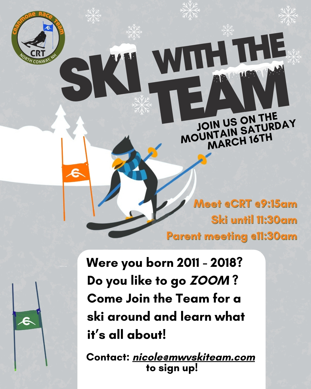 Ski w The Team (insta)